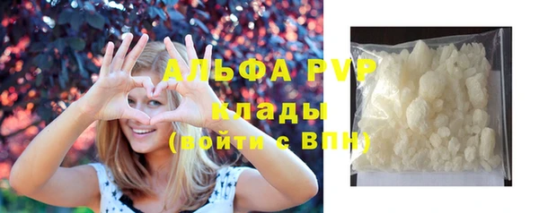 стаф Богданович