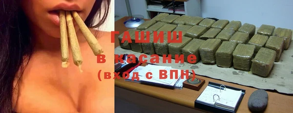 стаф Богданович