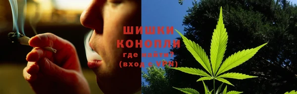 стаф Богданович