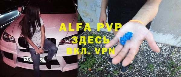стаф Богданович