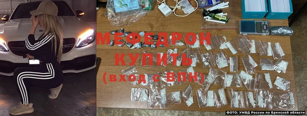 стаф Богданович