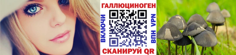 Псилоцибиновые грибы Psilocybe Давлеканово